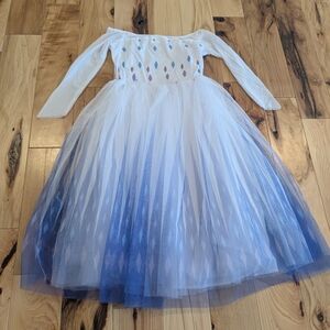 Little Girl Elsa Dress NWOT